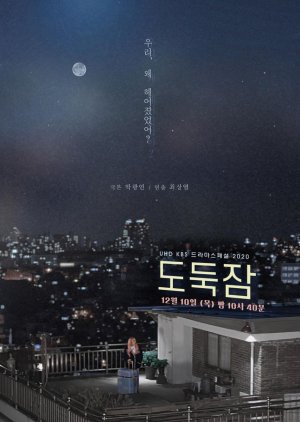 드라마 스페셜 - 도둑잠 , Drama Special: Thief Sleep , deulama seupesyeol - dodugjam , deulama seupesyeol - dodukjam , Drama Special Season 11: Stealing Sleep